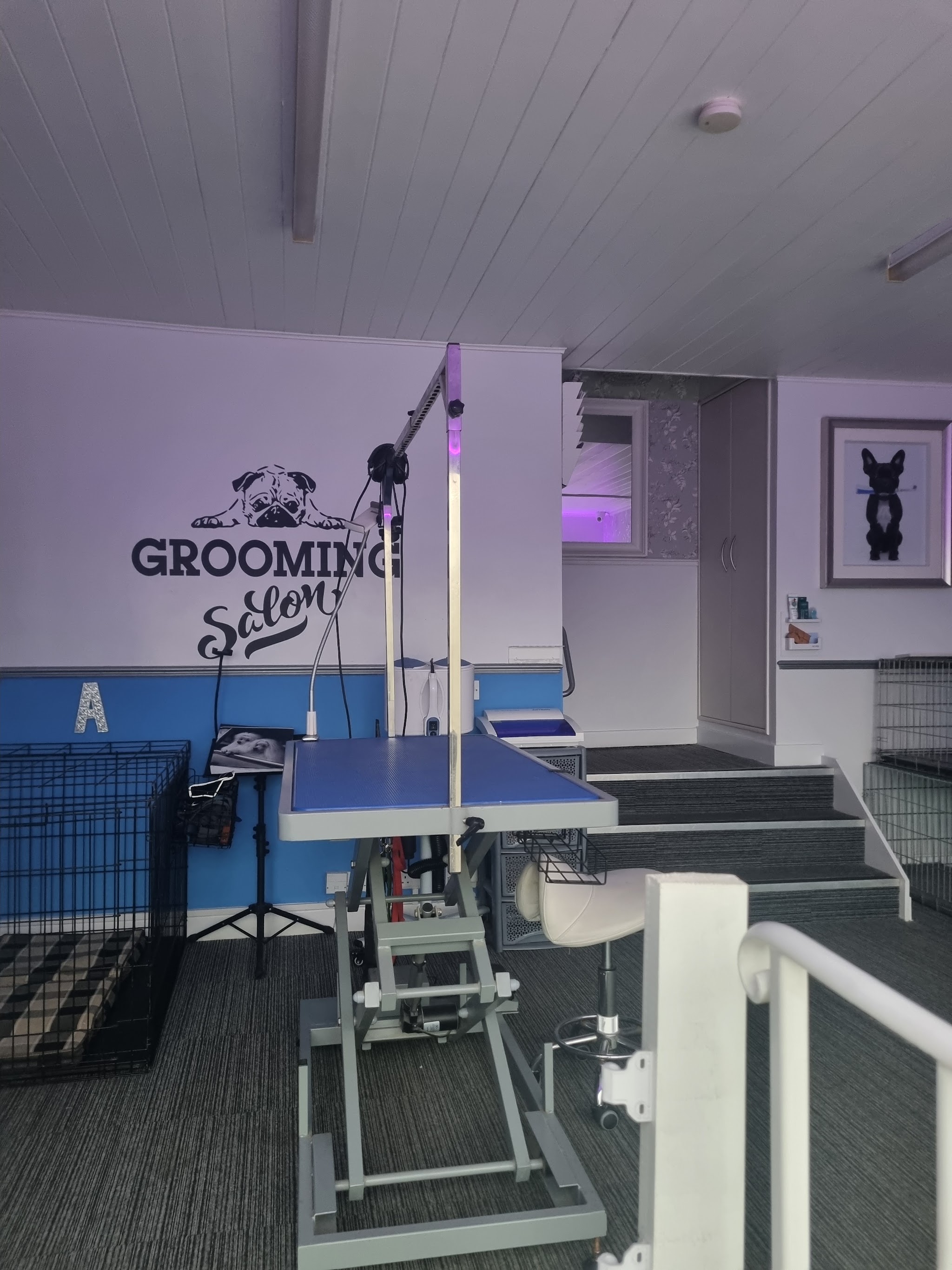 Inside the grooming studio, with grooming table, blue walls and salon wall lettering